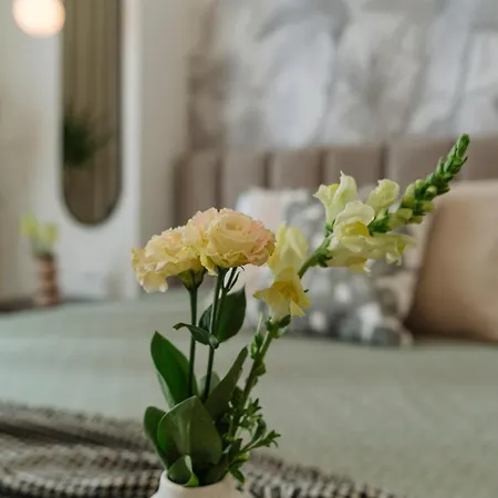 Heart Center Apartment