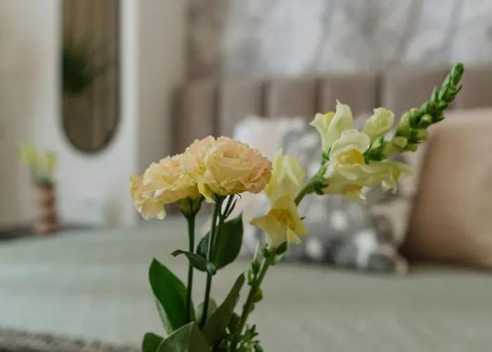 Heart Center Апартаменты